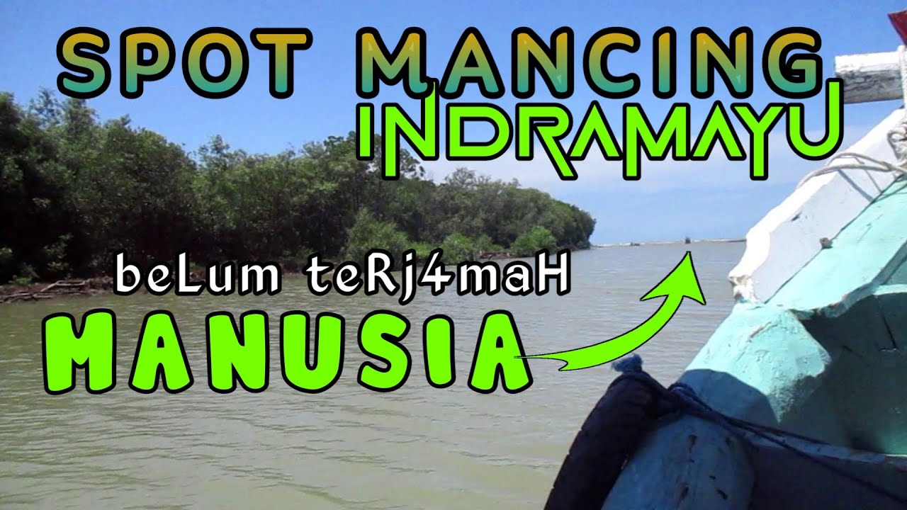 JARANG ADA YG TAU.. SPOT MANCING Muara Bondol INDRAMAYU Banyak Kakap Putih & Barramundi‼️
