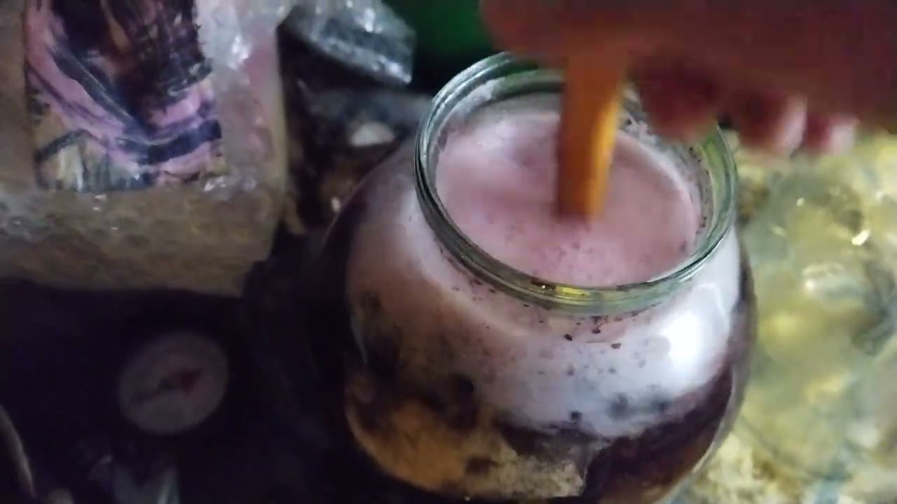 Зимнее вино из черной рябины. 