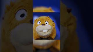 This is what a staring contest with a beaver would be like #shorts
Subscribe: http://bit.ly/2SJttzM | Merch Shop: https://teespring.com/stores/culter35
Become one of our channel members for awesome perks! https://www.youtube.com/channel/UC-r0FkdQhOfE367edUho7Aw/join
Follow our Instagram: https://instagram.com/culter35
Follow our TikTok: Culter35
Second Channel: https://youtube.com/user/CulterBloopers
Watch more videos!
Skits: http://shorturl.at/dlJNY
Everything & Anything Vlogs: http://shorturl.at/enDE0
Most Popular: http://shorturl.at/nvQVY
About Culter35
Welcome to the official Culter35 YouTube channel! On this channel, you’ll find a variety of content including skits, sketches, comedy, listicles and more. Make sure to subscribe and enable ALL notifications!
The music in this video is from Epidemic Sound! Sign up for your 30 day free trial here! http://share.epidemicsound.com/Culter35
#culter35 #comedy #shorts This is what a staring contest with a beaver would be like #shorts