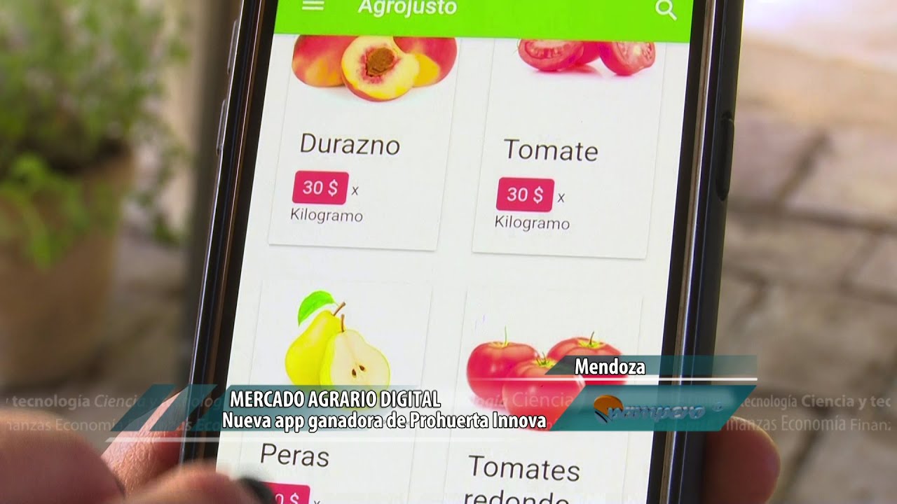 Mercado agrario digital sin intermediarios intangible