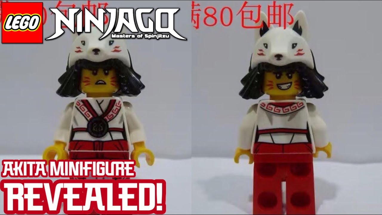 1026480-LEGO Ninjago Minifigure Akita | lupon.gov.ph