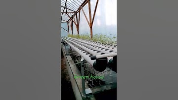 Thumbnail of proses pembuatan green house. untuk tanaman hidroponik #greenhouse #video #viral #fyp