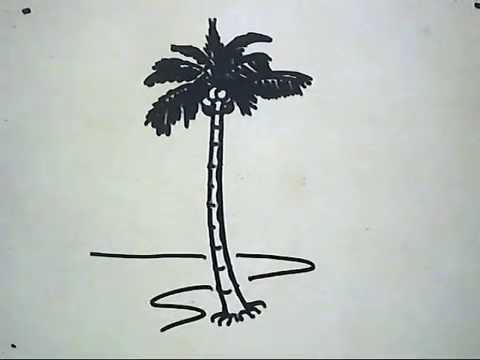  Cara Menggambar Pohon Kelapa How to Draw a Coconut Tree 