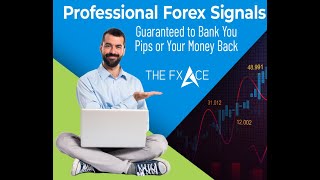 $46,000 Profit Forex Trading Signals Weekly
