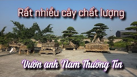 SH.11235. Giao lưu tại vườn cảnh anh Nam Thường Tín rất nhiều cây chất lượng.  