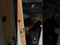 honey im home. Hero waiting for dad at the window #love #dog #happy #soberlife