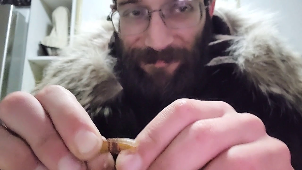 let's lash leather for sewed on toggles.