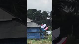 Layangan Kuwir Turun