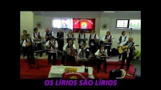 Video thumbnail of "Os Lírios São Lírios"