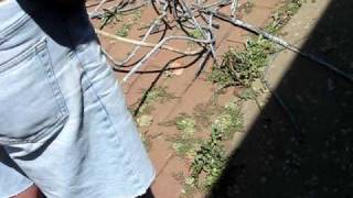 MVI_2330.avi