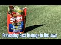 Keeping pests bugs grubs and ants away from the lawnusing sevin insect killer