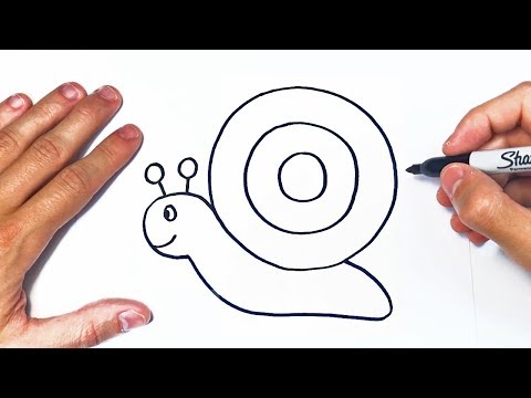 Video: Cómo Dibujar Un Caracol