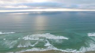 Wellerman By The Chipmunks