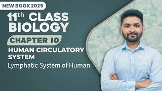 11th Class Biology Chapter 11 | Lymphatic System of Human | Class 11th Biology New Book 2025