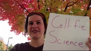 Cell-fie Science Ep 6 - Fall Leaf Chromatography