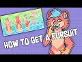 How to Get a Fursuit