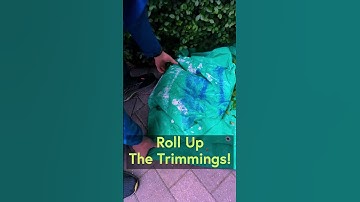 Top Tidy Tip for Trimming Your Hedge - Pots & Trowels
