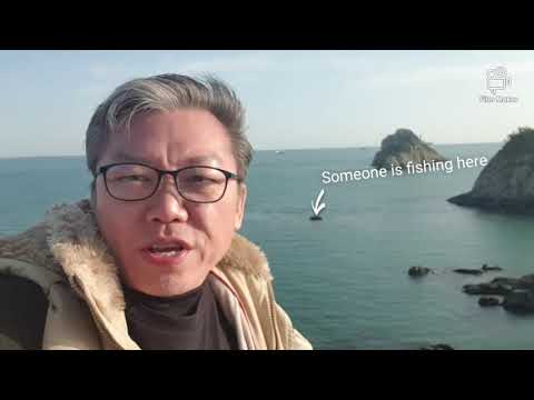 Busan Museum of Movies Famous art and culture | Personal Power Academy