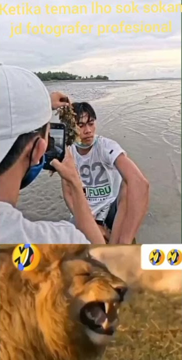 meme gambar lucu bikin ngakak #shorts #gambarlucu #statuslucu #pesulapmerah