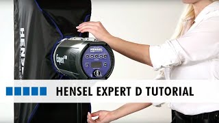 ドイツ製のストロボHENSEL EXPERT D500 Expert D 500