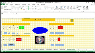 Media Pembelajaran Menggunakan VBA For Exel Materi SMA (MATRIKS)