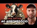 Uma crtica ao agronegcio