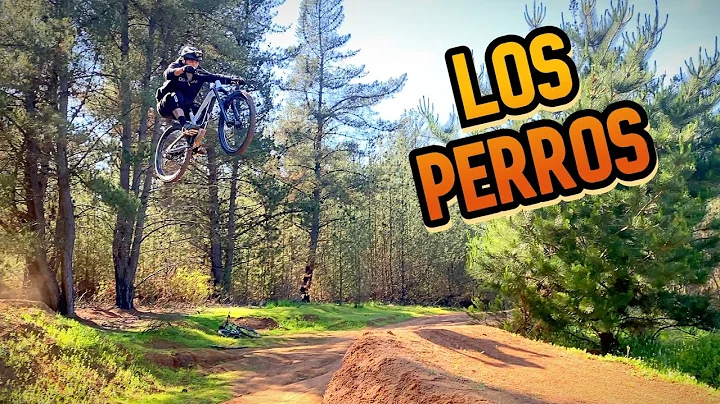 LOS PERROS - Reaca junto a un amigo! #mtb