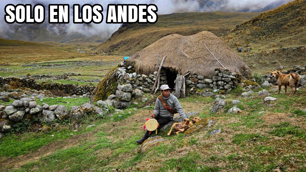 Así es la vida de nuestro amigo CANTORIN que VIVE SOLO en los andes del Perú