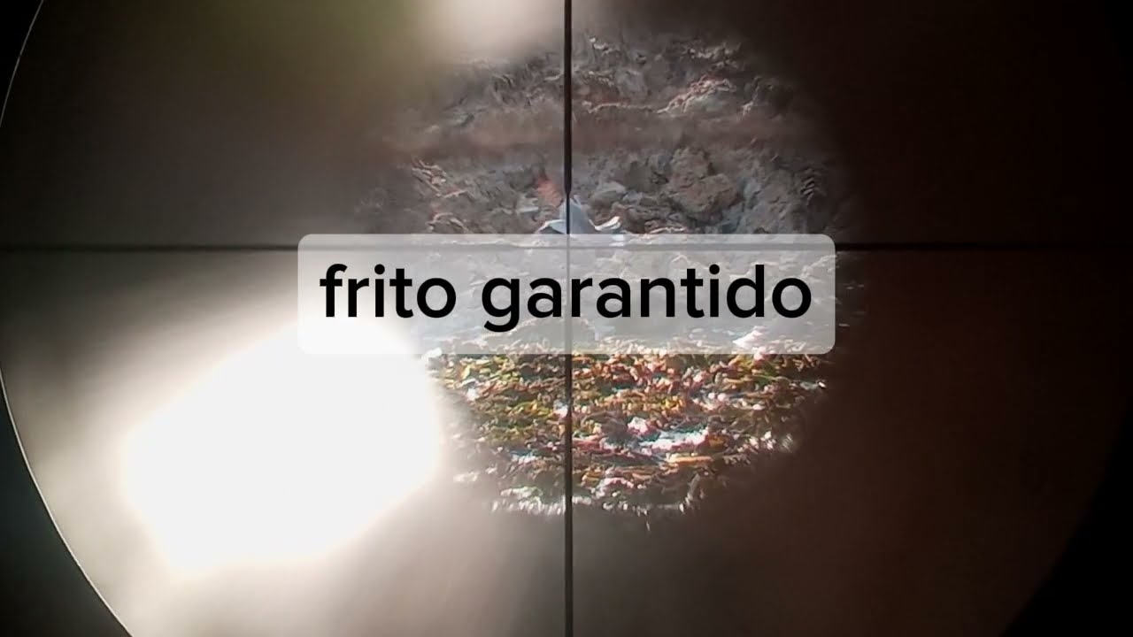 abates de dois perdigão nó tanquinho 🍀béló frito gárantido chow💥.video de agradessimeto aos 993 INSC