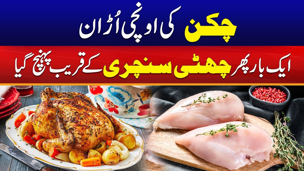 Chicken Prices Increased Again | Today Market Rate List | City 41