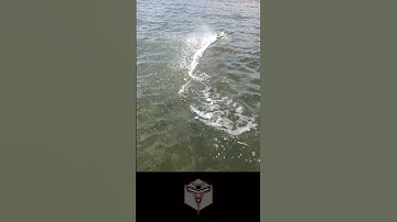 Flip, turn, and never capsize!
