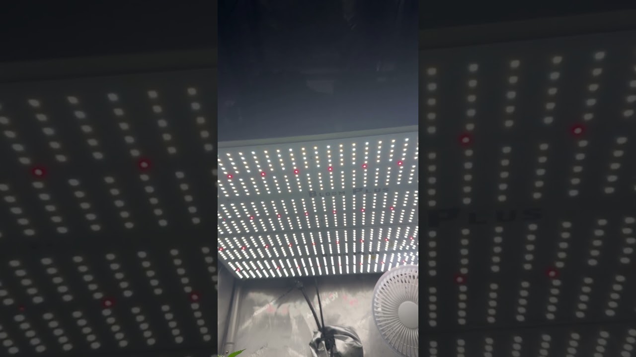 Check out the previous video! 