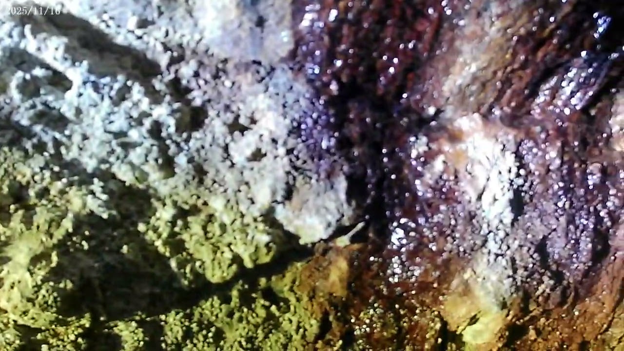 Prospectii la o mina veche de aur