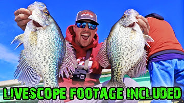How to Catch BIG CRAPPIE Using GARMIN LIVESCOPE! (INSANE)