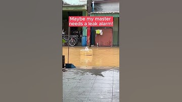 I Need X-sense Smart Leak Alarm to Stay SAFE in Flood!