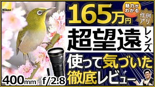 ニコン 野鳥撮影にオススメする超望遠レンズ 【AF-S NIKKOR 400mm f
