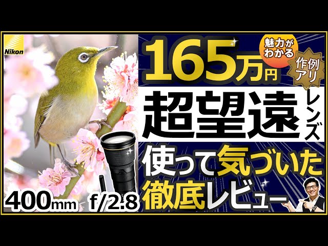 ニコン 野鳥撮影にオススメする超望遠レンズ 【AF-S NIKKOR 400mm f