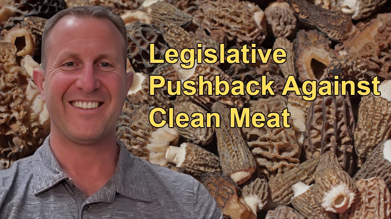 Legislative Pushback in States Like Florida and Tennessee Against Clean Meat