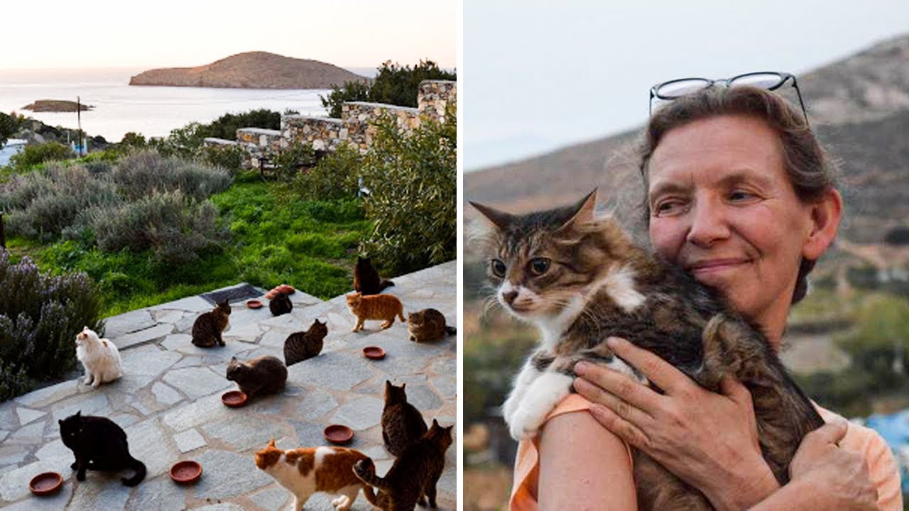 Meet The Woman Who Gets Paid To Live On A Greek Island And Cuddle Cats All Day