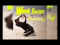 Wawa Salegy - 400 Volts - audio