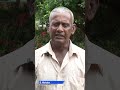 GUYANESE SPEAK... on benefits from government programmes #development #Guyana #growth