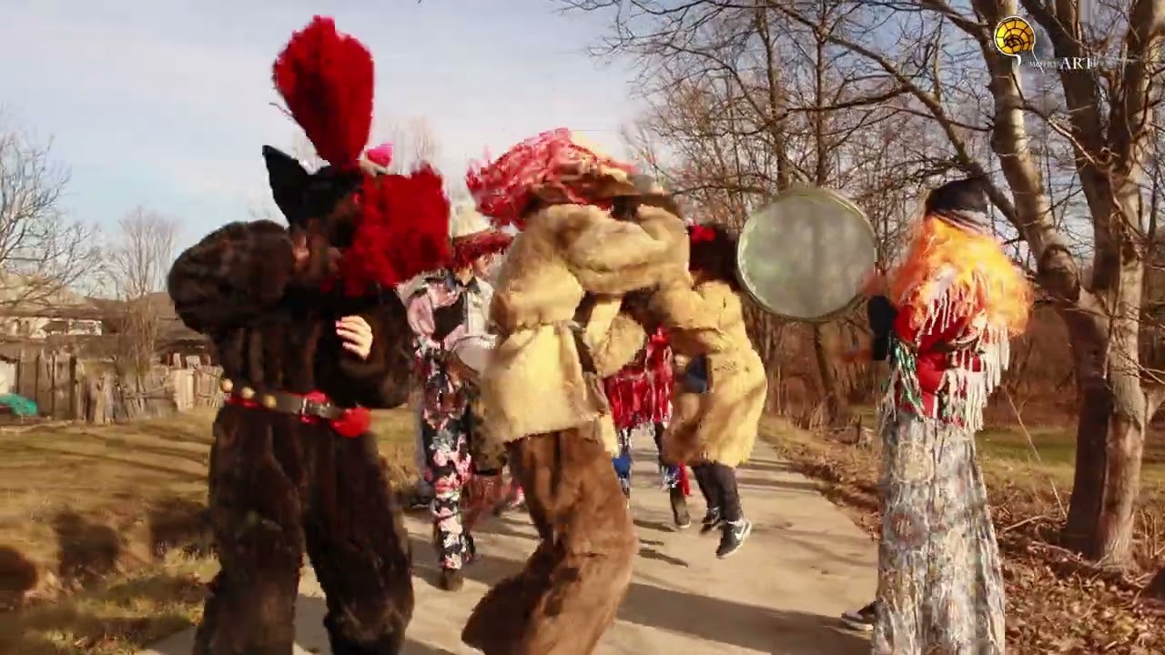 Primiți cu Ursul? Anul Nou și La mulți Ani? 2023-2024