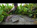 Best Hand Fishing | Amazing Boy Catching Big Fish By Hand in River Water #fishing