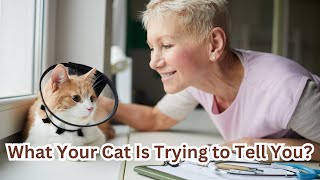 CatBehavior#UnderstandingCats#FelineInstincts#CatCommunication#PetCare#CatLovers#CatAffection screenshot 5