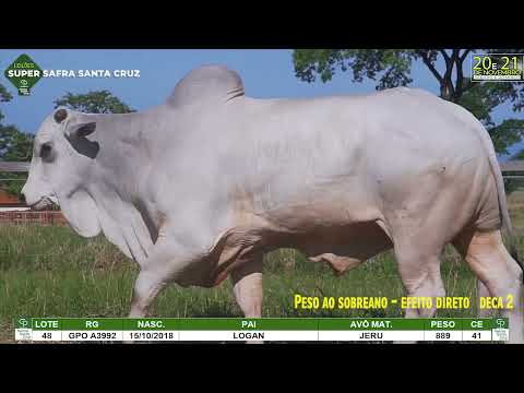 LOTE 048