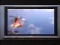 2000 Panasonic HDTV Commercial