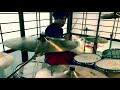 【スキライズム/フレデリック】ドラムで叩いてみた!