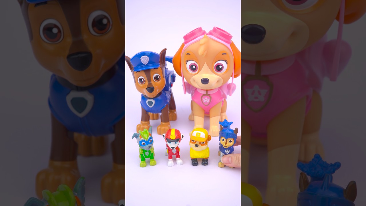 Satisfying Unboxing Experience with Paw Patrol Toys Collection 