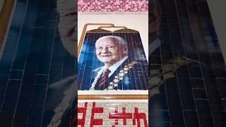 Most Satisfying Domino Art You'll See Today! 😍 / after 43 days update new domination #satisfying