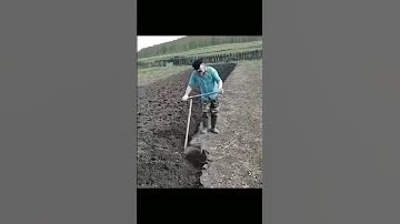 Самодельная лопата